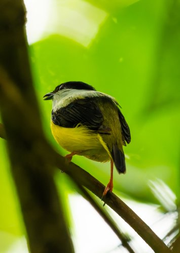 Costa Rica 2025 – Bild 279