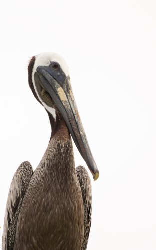Costa Rica 2025 – Bild 26