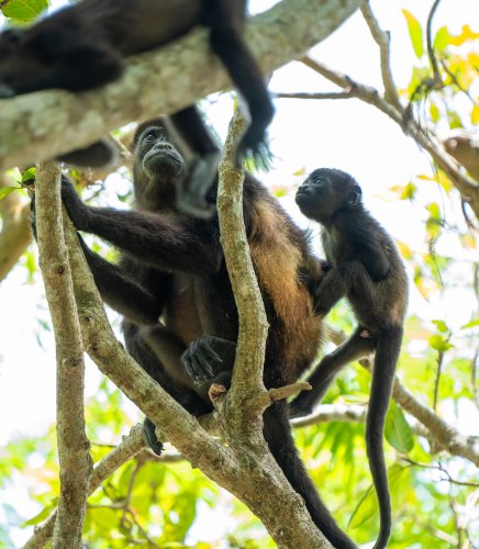 Costa Rica 2025 – Bild 56